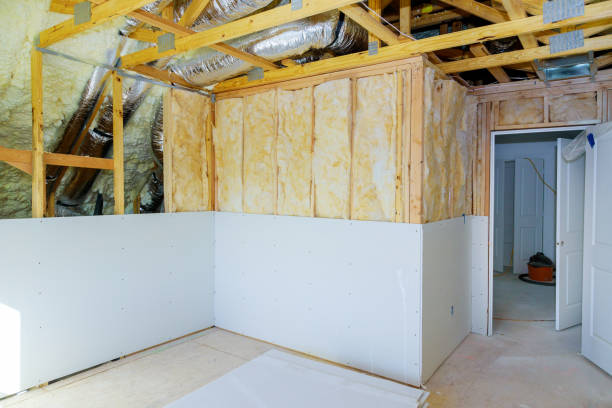 Best DIY Insulation Kits and Guidance in West Deland, FL