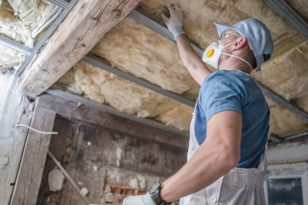 Best Insulation for Specific Applications in West Deland, FL