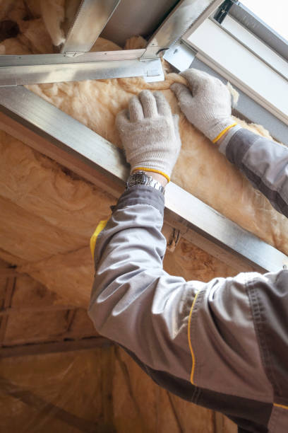 Best Insulation Maintenance and Repair in West Deland, FL