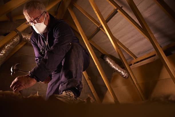 Best Geographic-Specific Insulation Services in West Deland, FL